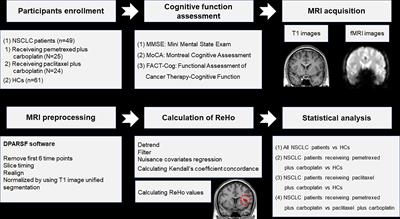 Functional changes of the prefrontal cortex, insula, caudate and associated cognitive impairment (chemobrain) in NSCLC patients receiving different chemotherapy regimen